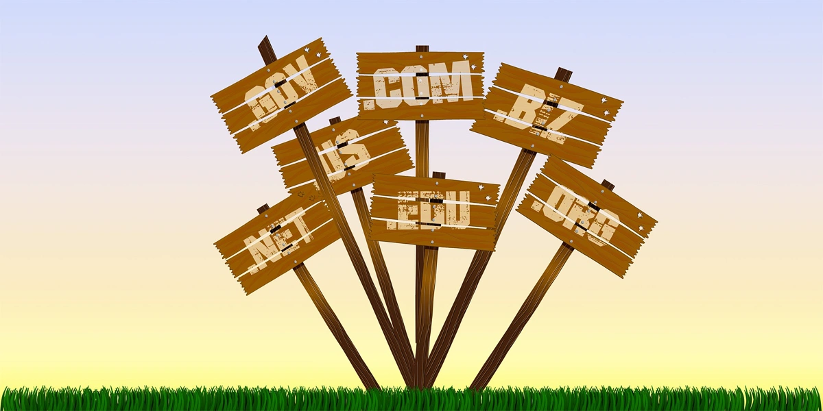 Domain Nedir? Alan Adı Seçim Rehberi