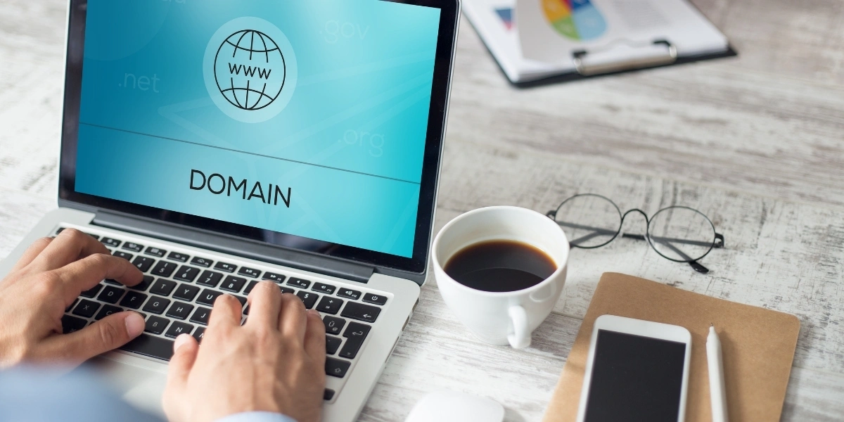Domain (Alan Adı) ve Hosting...